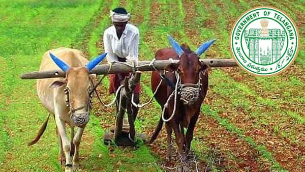 Rythu Bima: రైతులకు రూ.5 లక్షల ఇన్సూరెన్స్.. పథకానికి ఉండాల్సిన అర్హతలు ఏమిటంటే..