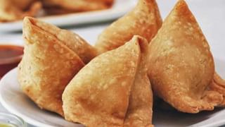 Yellow Turtle: బంగారు వర్ణంలో మెరిసిపోతున్న అరుదైన తాబేలు.. ఓ గ్రామంలోని చెరువులో లభ్యం