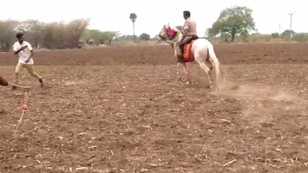 Andhra Pradesh: రియల్ ‘గబ్బర్ సింగ్’.. గుర్రంపై స్వారీ.. ఆసక్తికరంగా మారిన ఎస్ఐ వీడియో..!