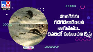 Optical Illusion: ఈ ఆప్టికల్ ఇల్యూషన్ పిక్ వెరీ స్పెషల్.. మీరు రొమాంటిక్ ఆ? సింగిల్ ఆ? చెప్పేస్తుంది..!