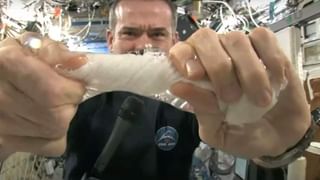 Viral Video: అయ్యయ్యో పరువు పోయిందే.. వీడియో చూస్తే పొట్టచెక్కలే