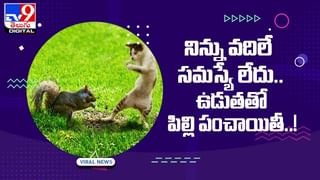 Viral Video: స్టేజ్‌పై వధూవరుల రొమాంటిక్ డ్యాన్స్‌ అదరగొట్టారు !!