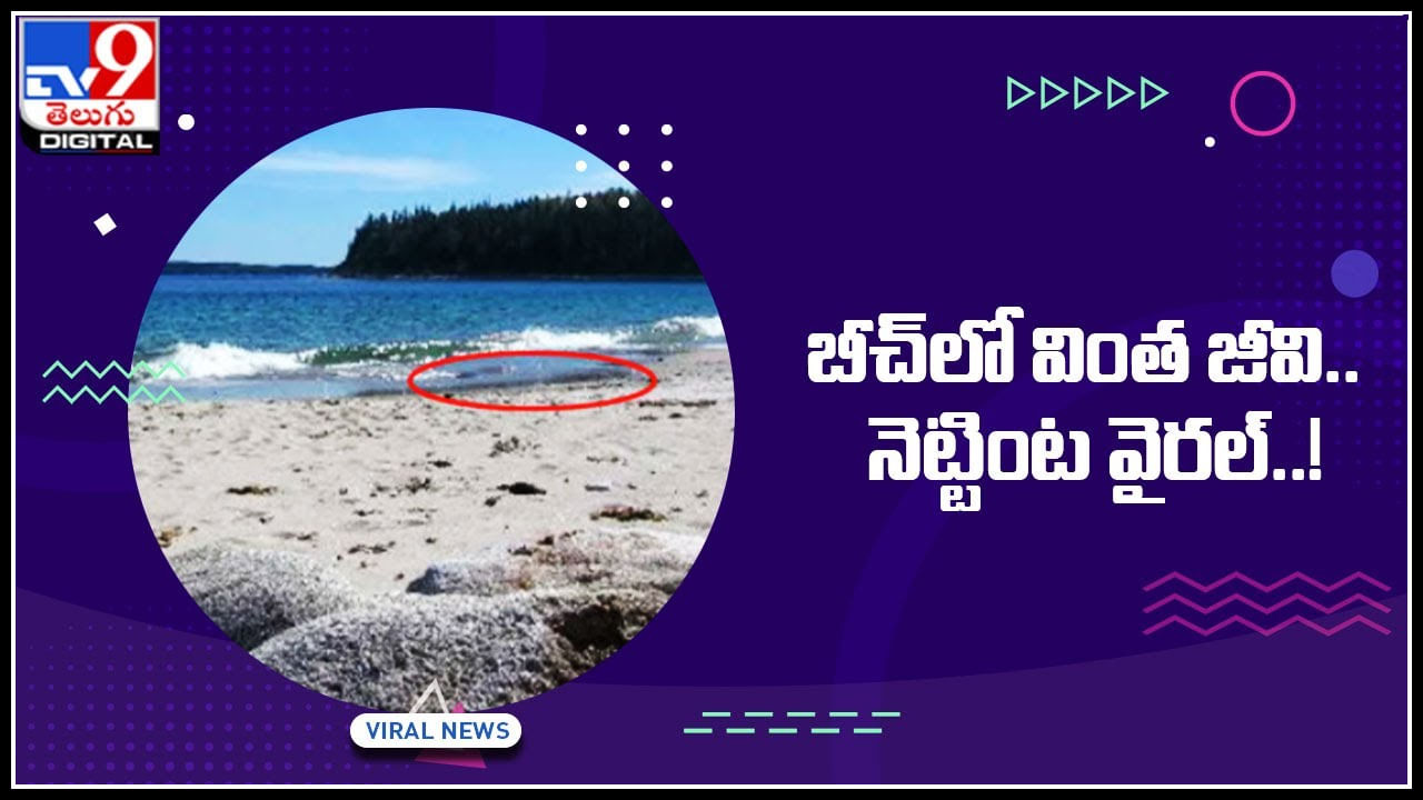 Viral Video: సముద్రంపు ఇసుకలో వింత ఆకారం.. దగ్గరకెళ్లి చూస్తే షాక్‌..!