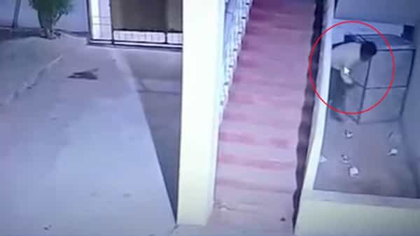 Telangana: వీడేం దొంగరా సామి.. చిల్లిగవ్వ దొరక్క చివరకు ఏమి ఎత్తుకెళ్లాడో తెలిస్తే నవ్వుకుంటారు