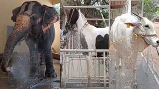 Rent For Field: పంట పండించుకోవడానికి రైతు కావలెను.. పొలం కౌలుకివ్వబడును.. వెలసిన ఫ్లెక్స్