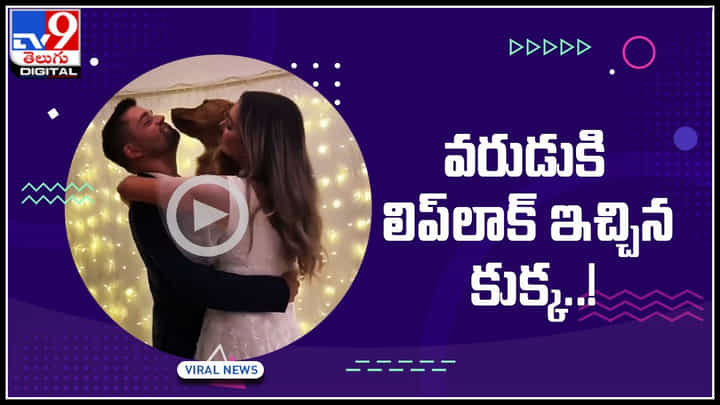 Funny Viral Video: వరుడుకి లిప్లాక్ కిస్ ఇచ్చిన అనుకోని అతిధి.. పెళ్లికూతురు రియాక్షన్ చుస్తే మైండ్ బ్లోయింగ్.. Funny Viral Video: వరుడుకి లిప్లాక్ కిస్ ఇచ్చిన అనుకోని అతిధి.. పెళ్లికూతురు రియాక్షన్ చుస్తే మైండ్ బ్లోయింగ్..