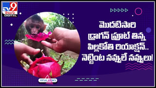 Ration card Rules: త్వరలో రేషన్‌ కార్డు నిబంధనల్లో మార్పులు..! కేంద్ర ప్రభుత్వం కీలక నిర్ణయం..