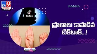 ముంగిసను గడగడలాడించిన నాగుపాము.. చివరిలో ఊహించని ట్విస్ట్‌