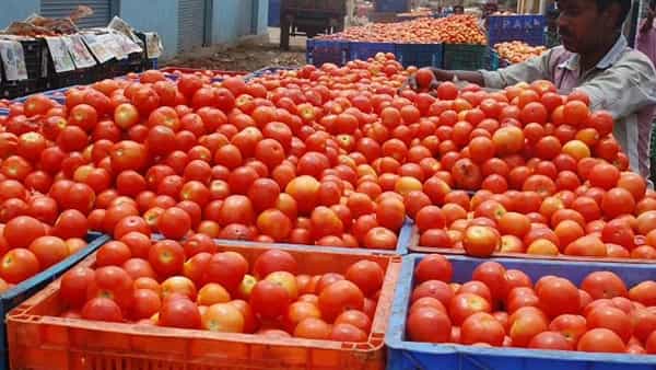 Tomato Price: మళ్ళీ టమాటా ధర పైపైకి.. అన్నదాత హర్షం.. మరింత పెరిగే అవకాశముందంటూ..