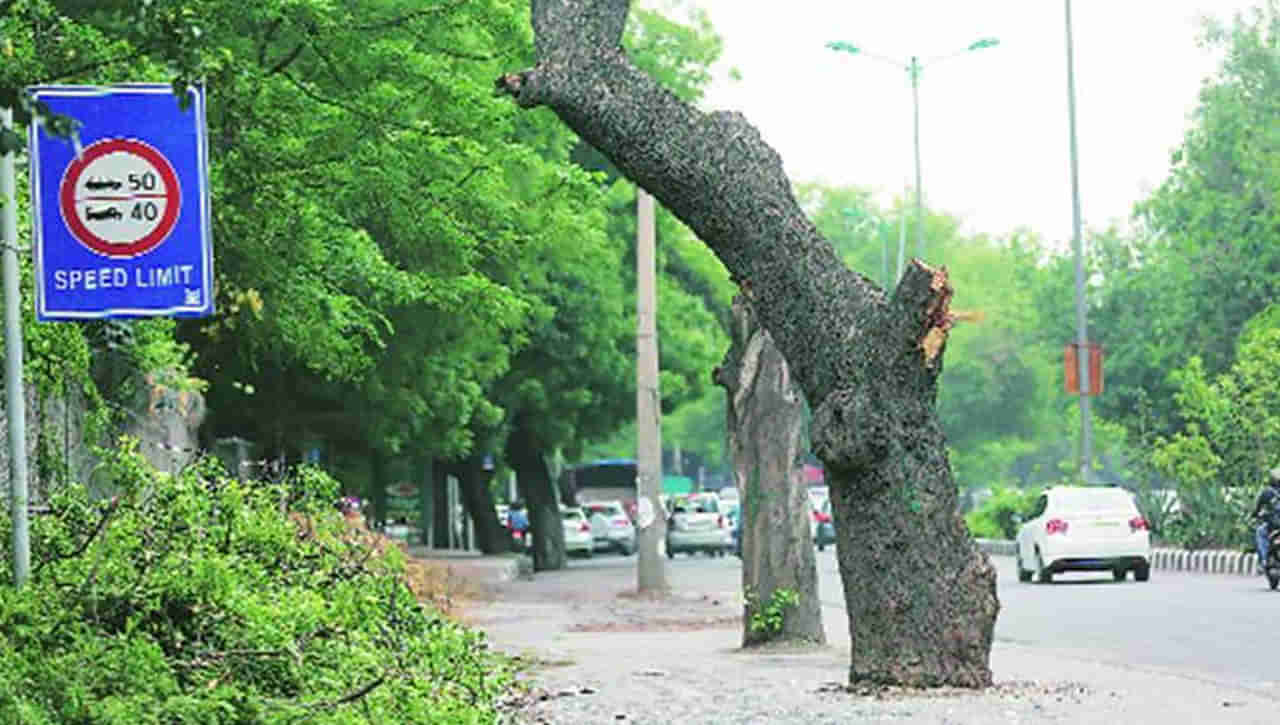 Hyderabad: అడ్డంగా ఉన్నాయని నరికేస్తామంటే కుదరదు.. చెట్టుపై చేయి వేయాలంటే అనుమతి తప్పనిసరి..