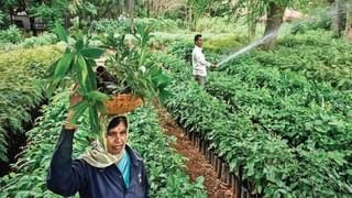 Bjp vs Trs: ప్రభుత్వ కార్యక్రమమా? పార్టీ కార్యక్రమమా?.. బీజేపీ నేతలపై ఫైర్ అయిన మంత్రి ప్రశాంత్ రెడ్డి..