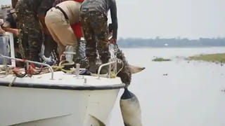 IPL 2022: కెప్టెన్ అయితే నువ్వేమైనా తోపా..  నెటిజన్ల ఫైర్.. ఎందుకంటే..?