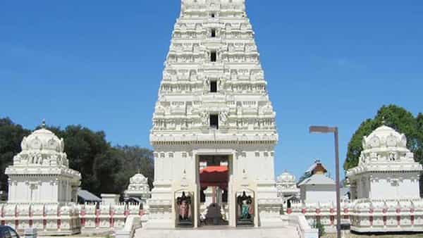 Vemulawada Rajanna: వేములవాడ రాజన్న సన్నిధిలో అద్భుతం.. అనుకోని అతిధి ఎంట్రీ.. ఆ తరువాత ఏం జరిగిందంటే..
