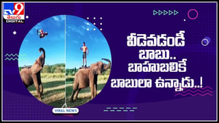 Humanity: ఫుడ్ డెలివరీ బాయ్‌గా టీచర్.. చలించిపోయిన నెటిజన్స్.. ఏం చేశారంటే..