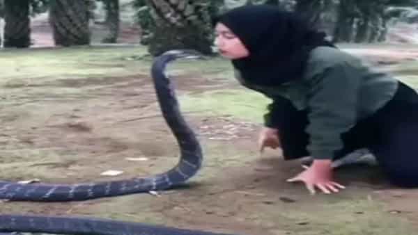 Viral Video: ఎక్కడి నుంచి వస్తుంది ఇంత ధైర్యం!.. ఈ అమ్మాయి వీడియో చూస్తే ఫ్యూజుల్ ఔట్..!