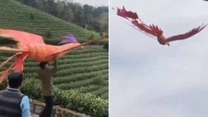 Viral Video: పక్షి అనుకుంటే పప్పులో కాలేసినట్టే.. ఏం క్రియేటివిటీ గురూ.. వీడియో వైరల్