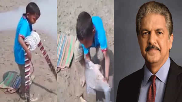 Anand Mahindra: సంకల్పం, చాతుర్యం, సహనం ఉంటే విజయం మీ సొంతం.. ఆనంద్ మహీంద్రాను ఆకట్టుకున్న వీడియో వైరల్
