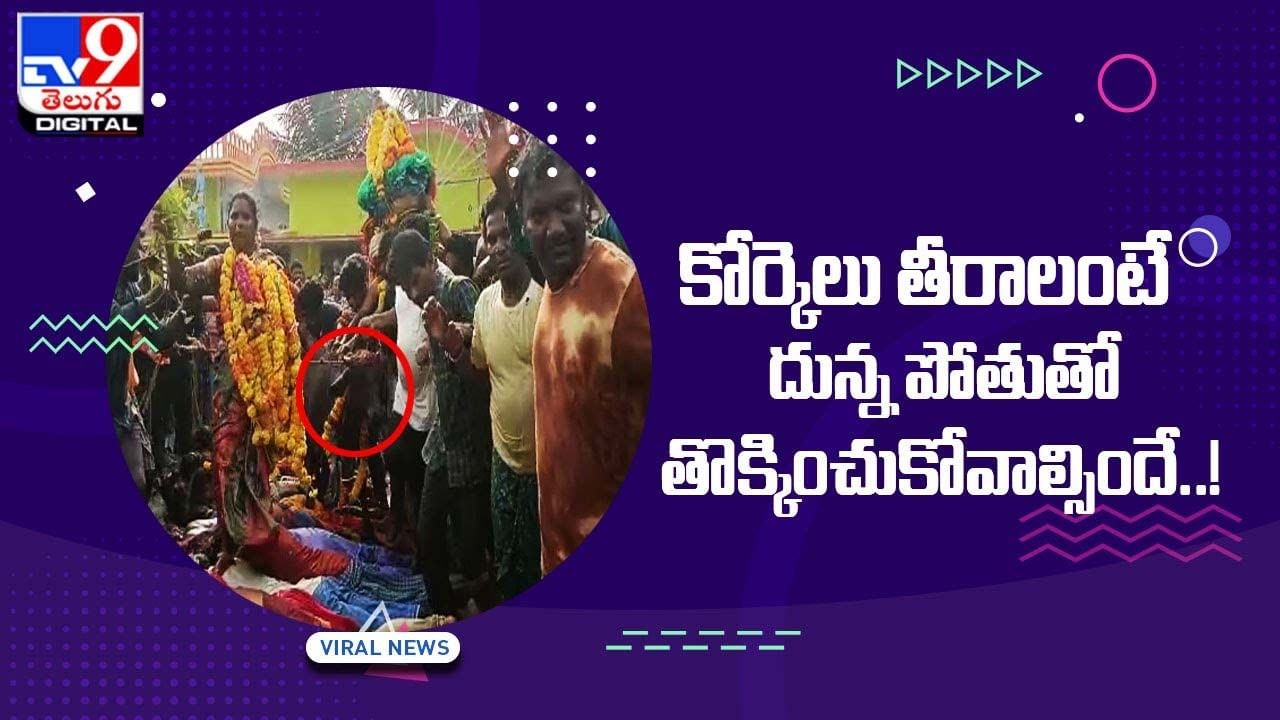 కోర్కెలు తీరాలంటే దున్న పోతుతో తొక్కించుకోవాల్సిందే !!