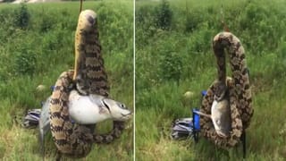 Sachin Tendulkar: సచిన్‌ బాల్యాన్ని గుర్తుచేసిన బస్సు.. లోకల్‌ బస్సులో ఎక్కి ప్రయాణించిన సచిన్..