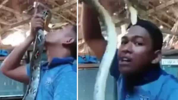 Viral Video: పాముతోనే పరచకాలా..? కట్ చేస్తే దిమ్మతిరిగే షాక్ ఇచ్చింది.. చూస్తే ఫ్యూజులౌట్..!