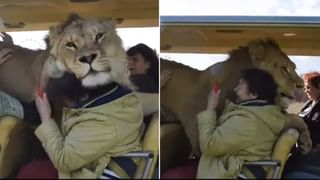 Viral Video: వెరైటీగా ట్రై చేశాడు.. అడ్డంగా బుక్కయ్యాడు..  వీర ప్రేమికుడికి షాక్ ఇచ్చిన పోలీసులు..