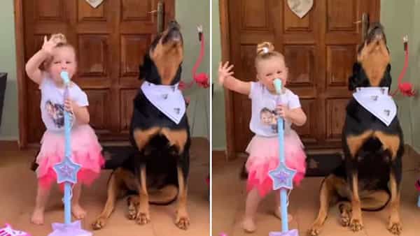 Viral Video: ఇంత క్యూట్గా మరెవరూ పాడరేమో.. అటు డాగీ, ఇటు బేబీ దుమ్ము రేపారు.. బ్యూటీఫుల్ వీడియో మీకోసం..
