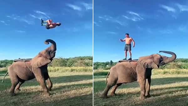Viral Video: వీడెవడ్రా బాబూ.. ‘బాహుబలి’కే బాప్లా ఉన్నాడు..! వీడియో చూస్తే మైండ్ బ్లాంక్ అవడం ఖాయం