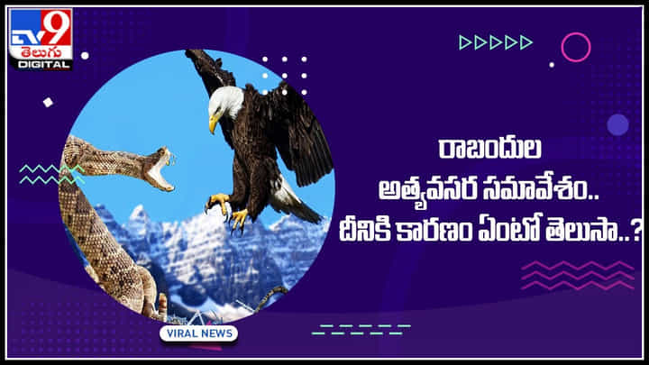 Viral Video: దేనికో మూడినట్టే..! రాబందుల అత్యవసర సమావేశం.. కారణం ఏంటో తెలుసా..? Viral Video: దేనికో మూడినట్టే..! రాబందుల అత్యవసర సమావేశం.. కారణం ఏంటో తెలుసా..?