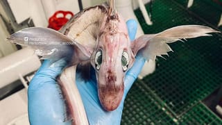 US on India: రష్యాకు మద్దతు ఇస్తే.. భారీ మూల్యం చెల్లించుకోక తప్పదు.. భారత్‌‌ను మరోసారి అమెరికా హెచ్చరిక!