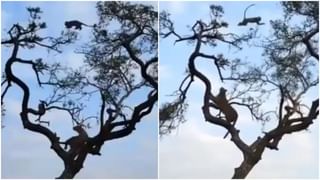 Viral Video: ఫోన్‌కు దండేసి దండం పెట్టాడు.. చివరకు ఏం చేశాడంటే..? వైరల్ వీడియో