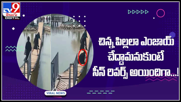 Funny Video: చిన్న పిల్లలా ఎంజాయ్ చేద్దామనుకుంటే సీన్ రివర్స్ అయిందిగా...! నవ్వులు పూయిస్తున్న వీడియో... Funny Video: చిన్న పిల్లలా ఎంజాయ్ చేద్దామనుకుంటే సీన్ రివర్స్ అయిందిగా...! నవ్వులు పూయిస్తున్న వీడియో...