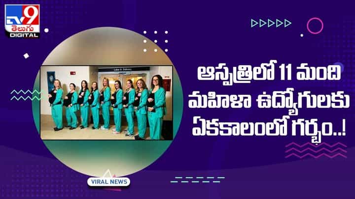 ఆస్పత్రిలో 11 మంది మహిళా ఉద్యోగులకు ఏకకాలంలో గర్భం !! ఆస్పత్రిలో 11 మంది మహిళా ఉద్యోగులకు ఏకకాలంలో గర్భం !!