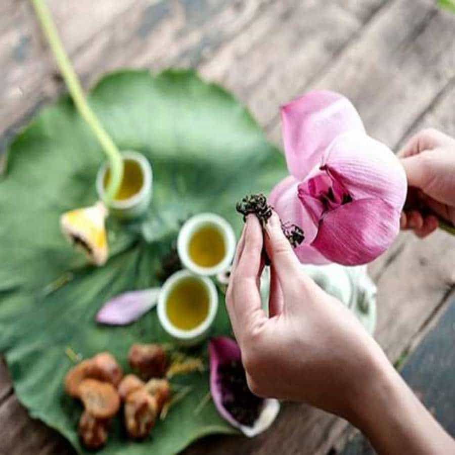 ప్రస్తుతం వయసుతో సంబంధం లేకుండా చాలా మంది జుట్టు తెల్లబడటం, ఊడిపోవడం, పొడిబారడం వంటి సమస్యలతో బాధపడుతున్నారు. వీరికి తామర పువ్వు మంచి ఔషధం. ఈ పువ్వుతో తయారుచేసిన నూనెను రోజూ తలకు మర్దన చేయండి. దీనివలన జుట్టు ఆరోగ్యంగా మెరుస్తూ, దృఢంగా పెరుగుతుంది.