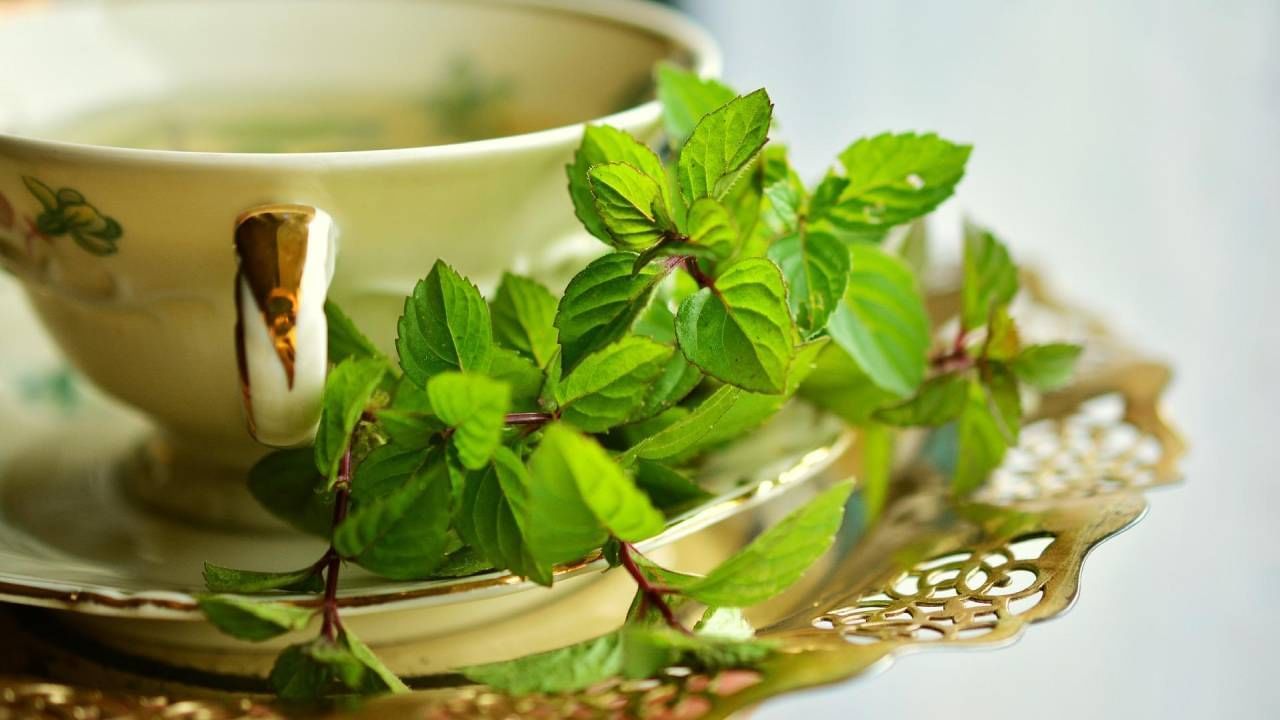 Peppermint Tea పుదీనా టీ తాగడం వల్ల అద్భుత ప్రయోజనాలు.. తెలిస్తే