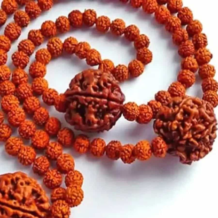 రుద్రాక్ష.. హిందూ సంప్రదాయంలో అత్యంత ప్రాధాన్యత కలిగి ఉంటుంది. శివుని కన్నీటితో ఈ రుద్రాక్ష జన్మించిందని.. రుద్రాక్ష ఒక ముఖం నుంచి ఇరవై ఒక్క ముఖం వరకు ఉంటుంది. వీటన్నింటికి భిన్నమైన ప్రాముఖ్యతలు ఉన్నట్లు చెబుతుంటారు. కానీ అన్ని రకాల రుద్రాక్షలను ధరించే ముందు కొన్ని నియమాల గురించి తెలుసుకోవాల్సి ఉంటుంది.