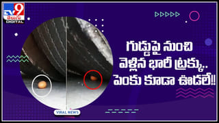 Viral Video: ఇలాంటి మోసం నెవ్వర్ బిఫోర్.. ఎవ్వర్ ఆఫ్టర్.. వీడియో చూస్తే ఫ్యూజులు ఔట్!