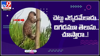 Jawan’s video: వావ్..! చూసే కళ్ళని కనువిందు చేస్తున్న వీడియో.. హిమాలయల్లో జవాన్ల యోగాసనాలు.!