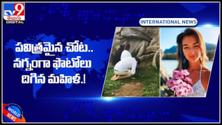 Viral Video: బాబోయ్‌ !! ఆ హోటల్‌ పరోటా పార్శిల్‌లో పాము చర్మం