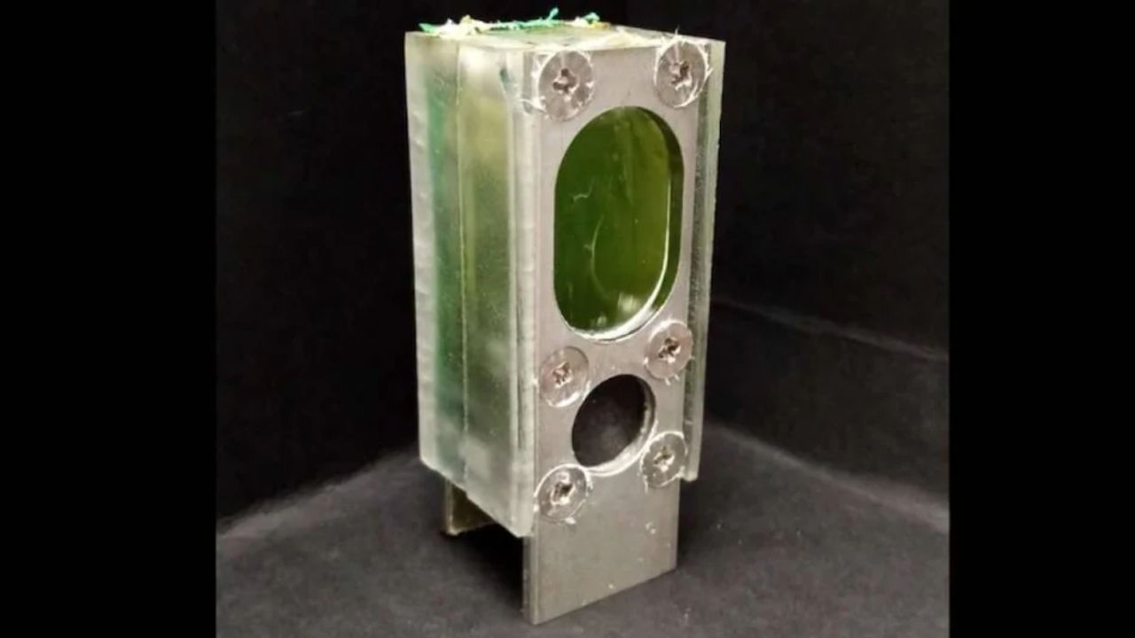 Algae Battery: చిన్న బ్యాటరీ.. అంతులేని పవర్.. 6 నెలల నుంచి కంప్యూటర్ నాన్ స్టాప్ రన్నింగ్.. పూర్తి వివరాలు..