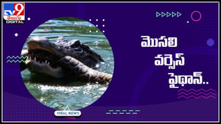 Viral Video: యువతి డ్యాన్స్‌ చూస్తూ స్విమ్మింగ్‌పూల్లో పడిపోయిన వ్యక్తి..! వీడియో చుస్తే నవ్వు ఆగదు అంతే..!