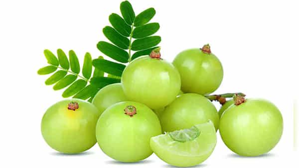 Helath: ఈ విషయాలు తెలిస్తే ఉసిరి గింజలను ఇకపై అస్సలు పడేయ్యరు.. ఎన్ని లాభాలో తెలుసా.?