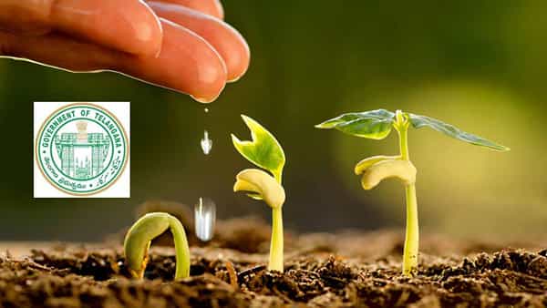 ATMA Recruitment 2022: రాత పరీక్షలేకుండా ఎంపిక..సంగారెడ్డి జిల్లాలో అసిస్టెంట్ టెక్నాలజీ మేనేజర్ ఉద్యోగాలు.. అర్హతలివే..