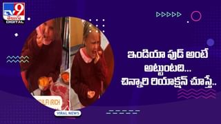 White Peacock: ఆకాశంలో విహరించిన తెల్లటి నెమలి.. వీడియో వైరల్‌