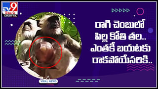 Viral Video: అది స్కూటరా.. జట్కా బండా.? ఒక బండిపై అంతమదా..? నెట్టింట వైరల్‌ అవుతున్న వీడియో