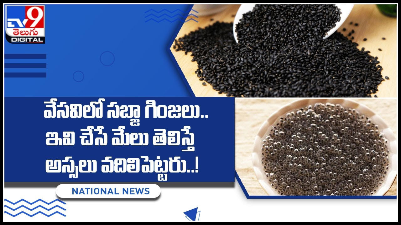 Sabja seeds: వేసవిలో సబ్జా గింజలు .. ఇవి చేసే మేలు తెలిస్తే అస్సలు వదిలిపెట్టరు..!