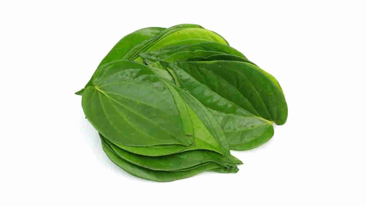 Betel Leaves: తమలపాకులు ఈ 5 సమస్యలను తొలగిస్తాయి.. ఈ ప్రయోజనాలు తెలిస్తే మీరు షాకవుతారు..