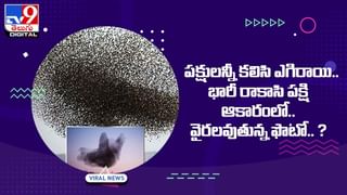 Viral Video: వరుడు రావడం కాస్త ఆలస్యం అయిందని.. ఆ వధువు ఏం చేసిందో చూడండి..!