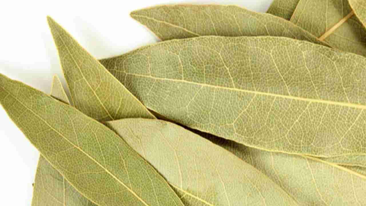 Bay Leaves Benefits: బిర్యానీ ఆకు ఎక్కువగా వాడుతున్నారా.. అయితే ఈ విషయాలు తెలుసుకోండి..