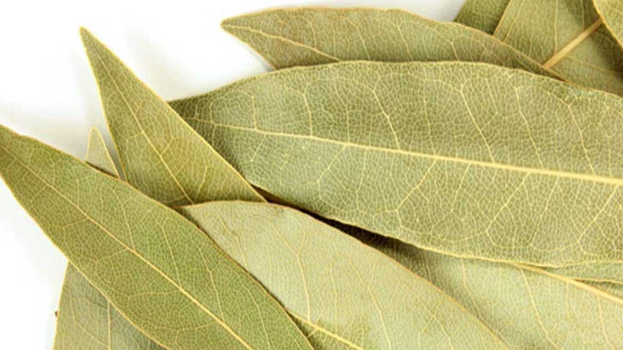 Bay Leaves Benefits: బిర్యానీ ఆకు ఎక్కువగా వాడుతున్నారా.. అయితే ఈ విషయాలు తెలుసుకోండి..