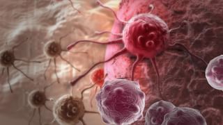 Womens Health Day 2022: మహిళలు ఈ సూపర్ ఫుడ్స్‌ కచ్చితంగా తినాలి.. అప్పుడే ఈ వ్యాధులు దూరమవుతాయి..!